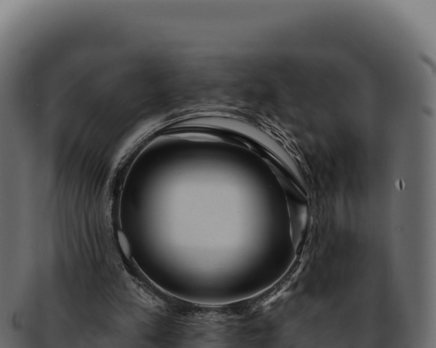 X0000092300197200710041453