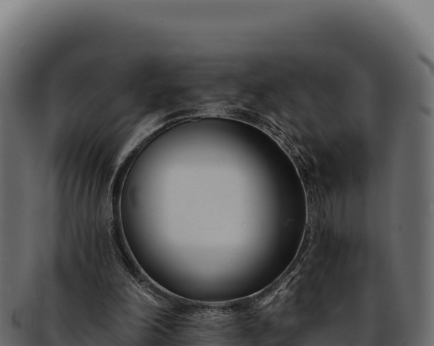 X0000092300198200710041453