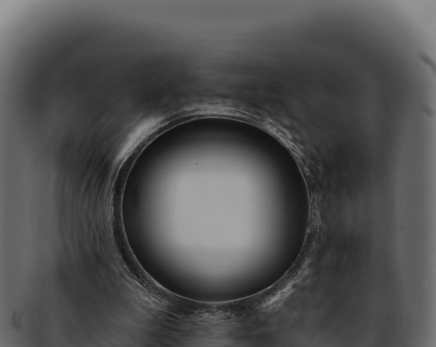 X0000092300199200710041453