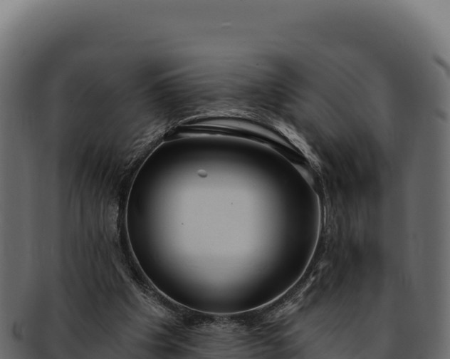 X0000092300201200710041453