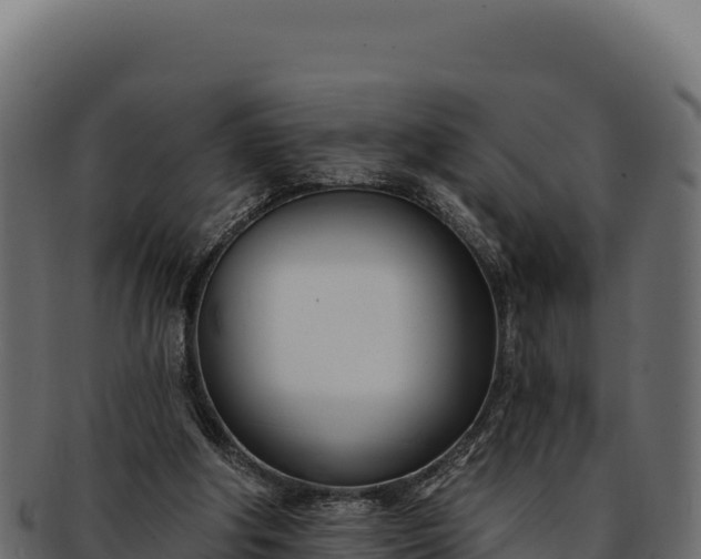 X0000092300202200710041453