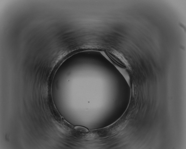 X0000092300204200710041453