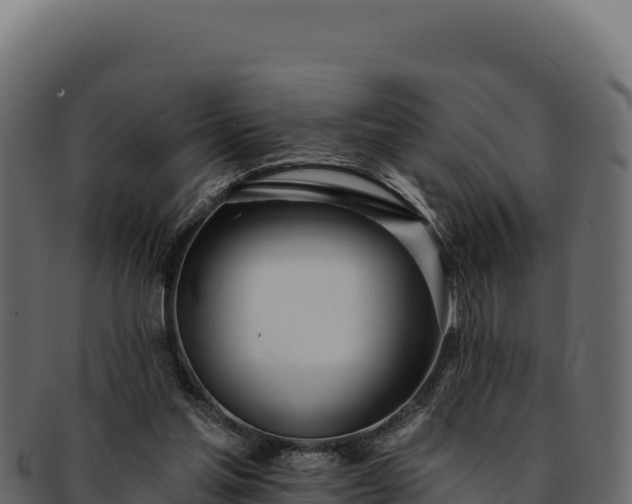 X0000092300205200710041453