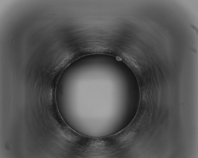 X0000092300206200710041453