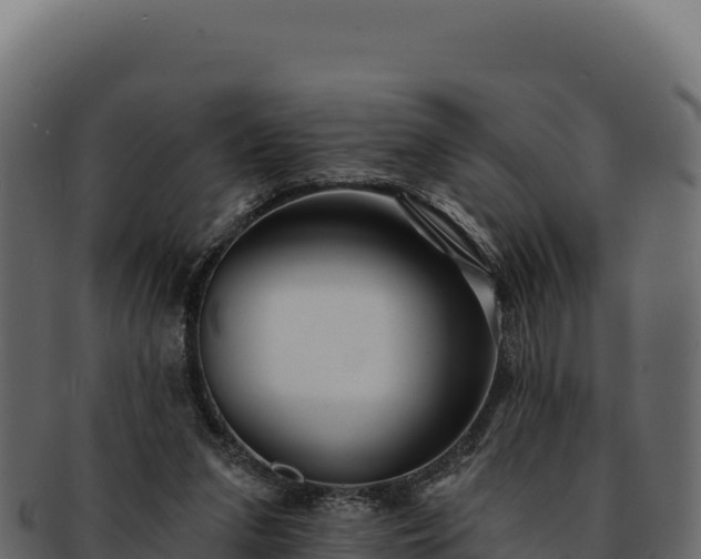 X0000092300207200710041453