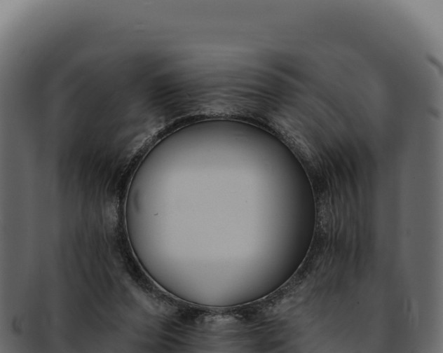 X0000092300208200710041453