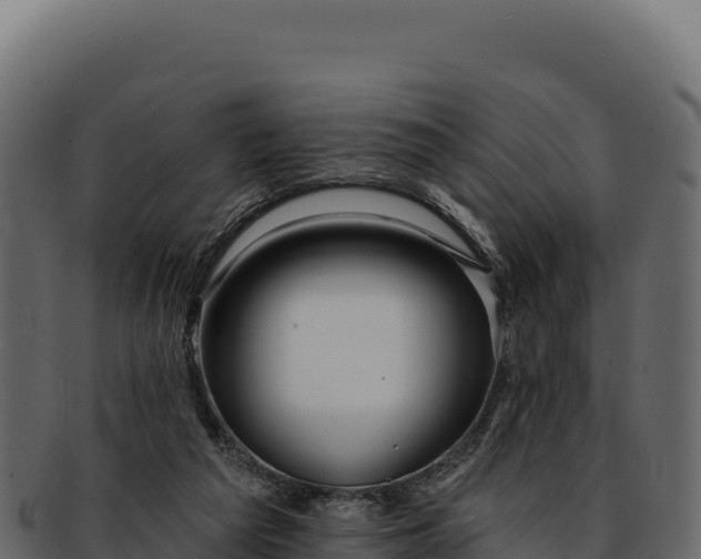 X0000092300209200710041453