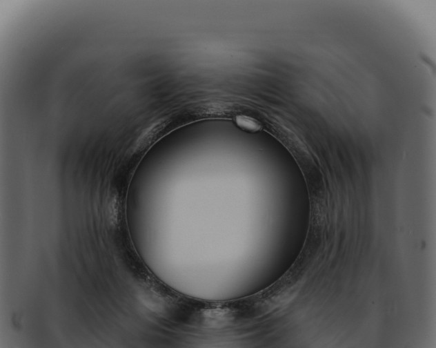 X0000092300216200710041453