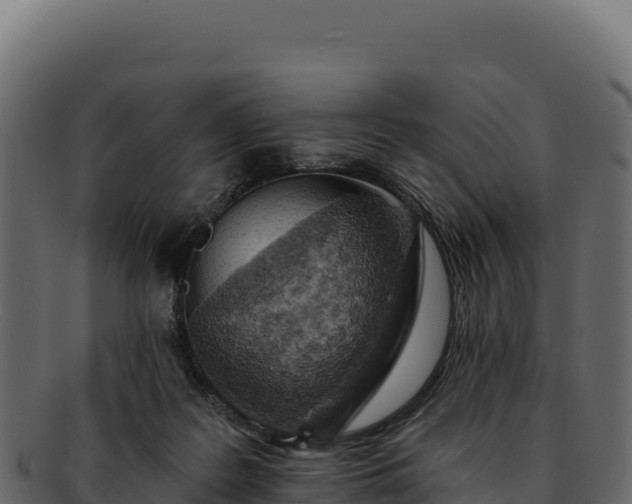 X0000092300219200710041453