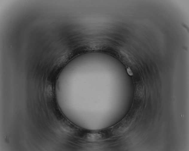 X0000092300220200710041453