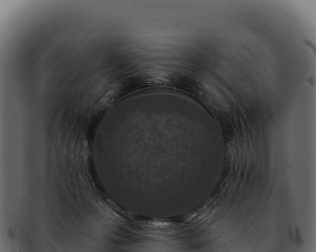 X0000092300223200710041453