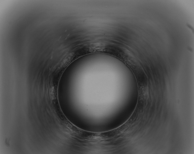 X0000092300224200710041453