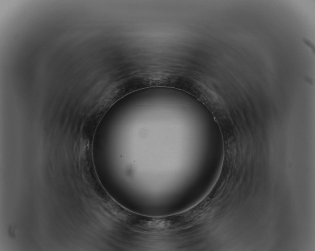 X0000092300225200710041453