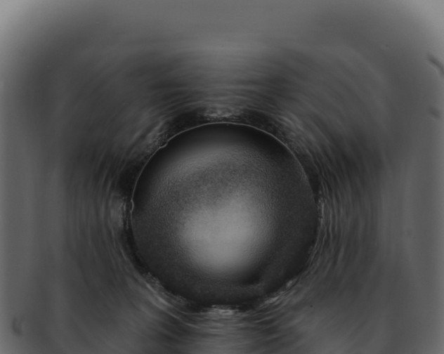 X0000092300227200710041453