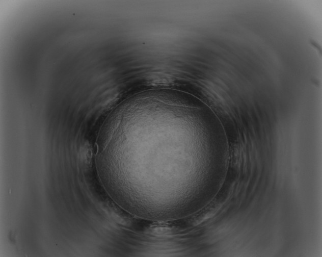 X0000092300228200710041453