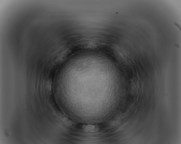 X0000092300230200710041453