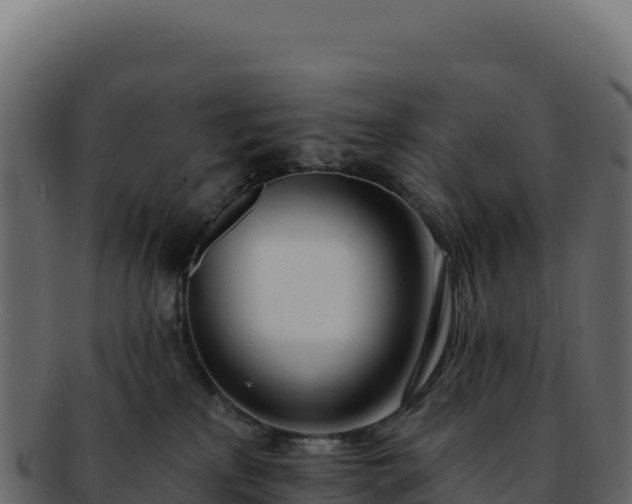 X0000092300233200710041453