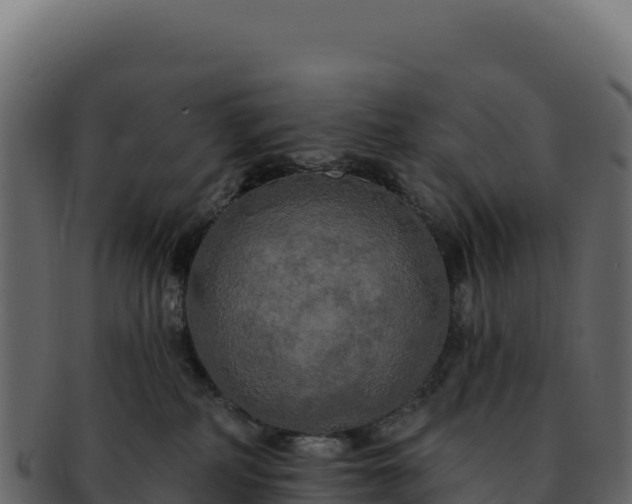 X0000092300234200710041453