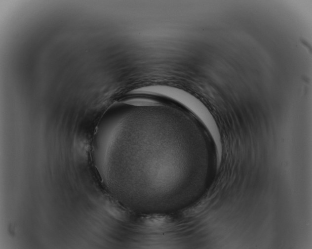 X0000092300235200710041453