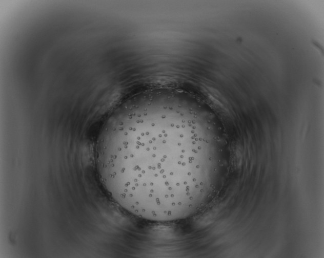 X0000092300236200710041453