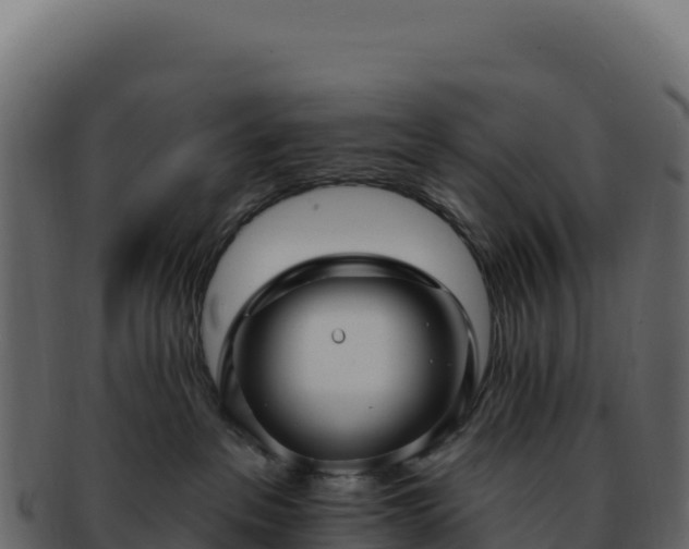 X0000092300237200710041453