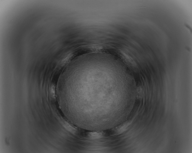 X0000092300238200710041453