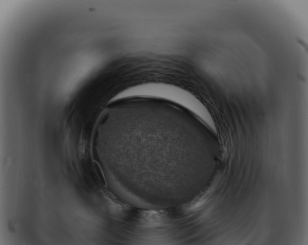 X0000092300239200710041453