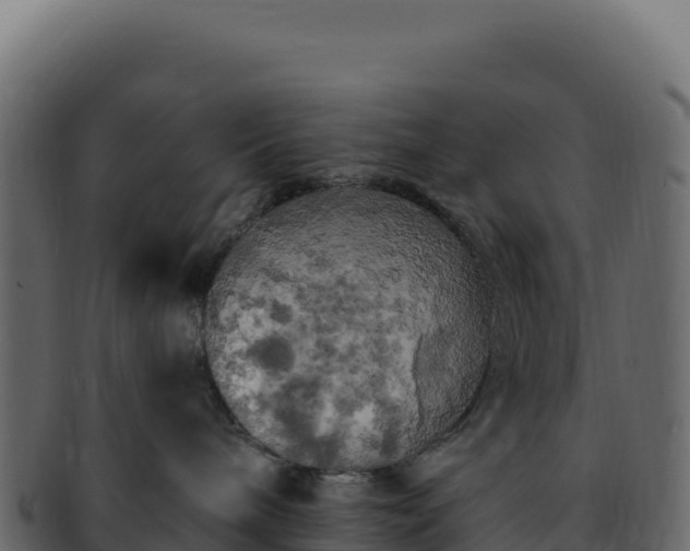 X0000092300240200710041453