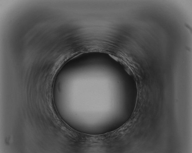 X0000092300241200710041452