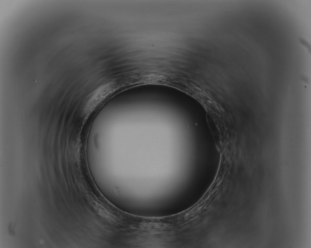 X0000092300242200710041452