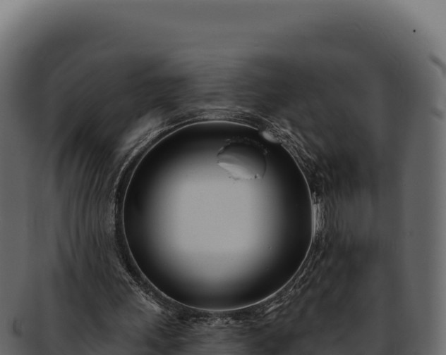 X0000092300243200710041452