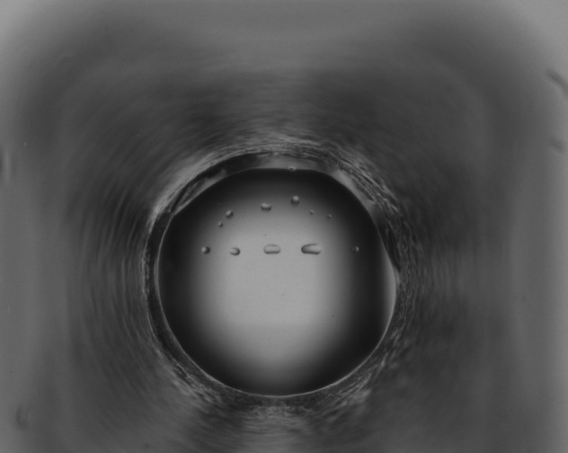 X0000092300244200710041452