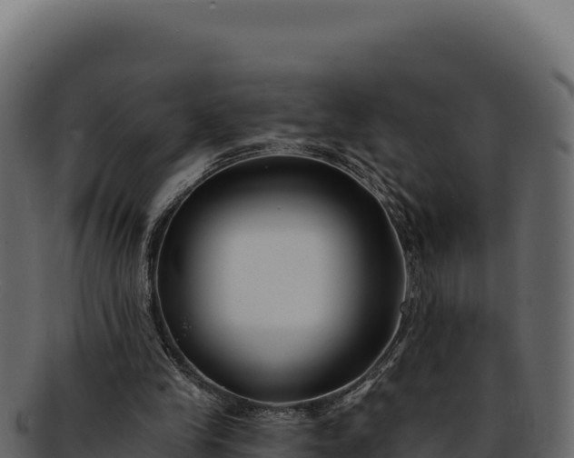 X0000092300245200710041452