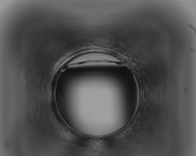 X0000092300247200710041452