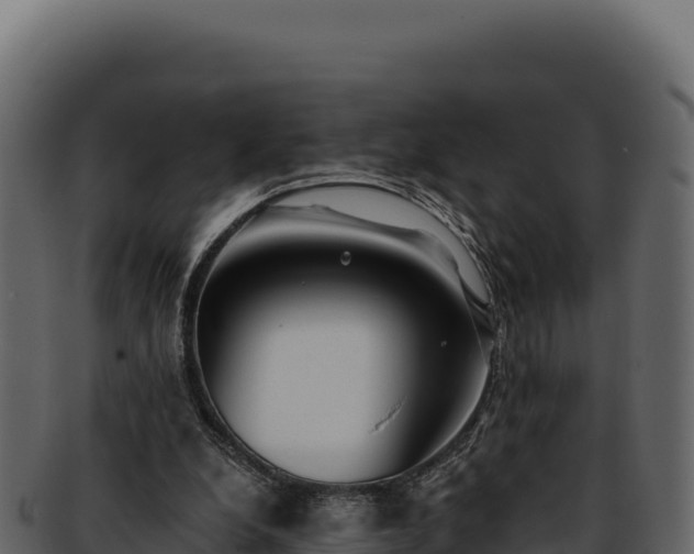 X0000092300248200710041452