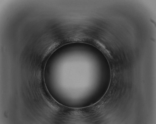 X0000092300250200710041452