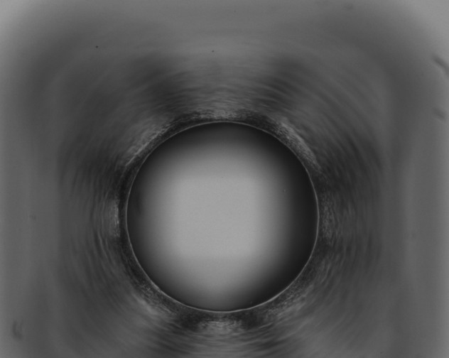 X0000092300251200710041452