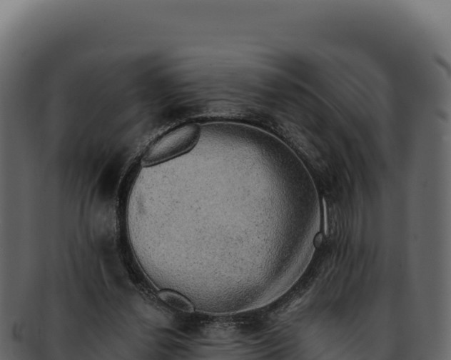 X0000092300252200710041452