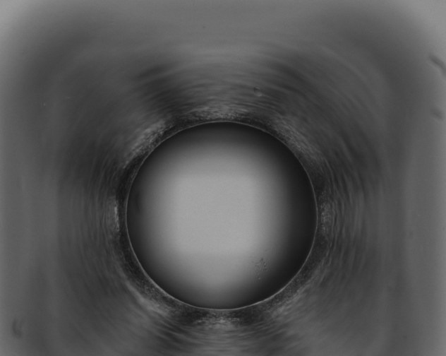 X0000092300254200710041452