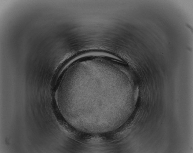 X0000092300256200710041452