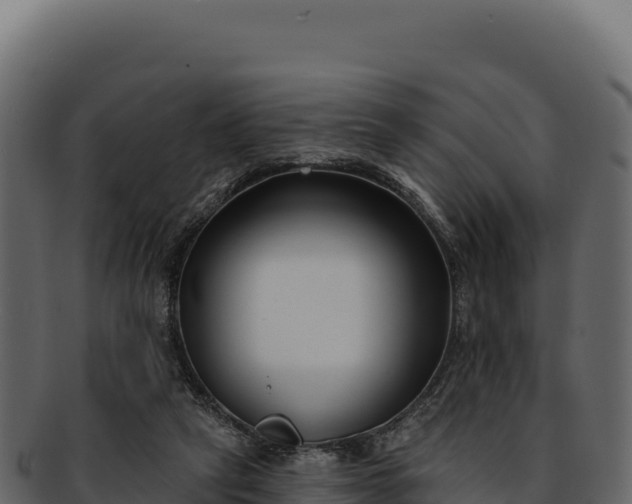 X0000092300257200710041452