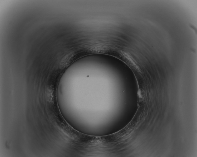 X0000092300259200710041453