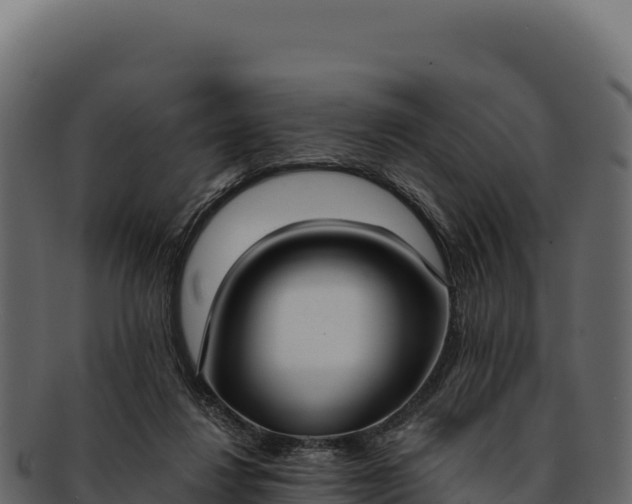 X0000092300260200710041453