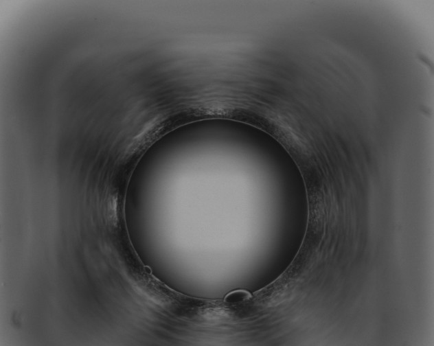 X0000092300262200710041453