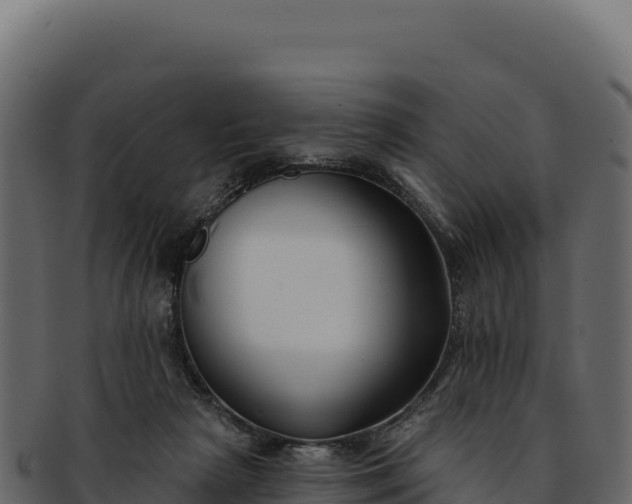 X0000092300265200710041453