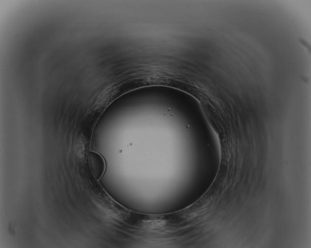 X0000092300266200710041453