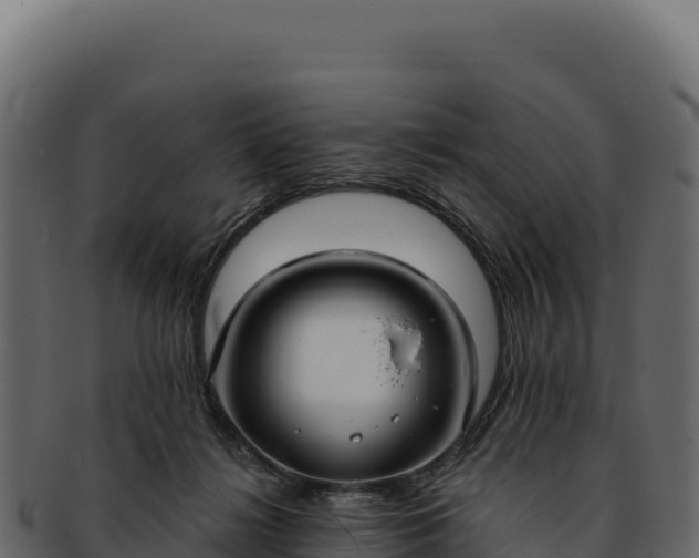 X0000092300268200710041453