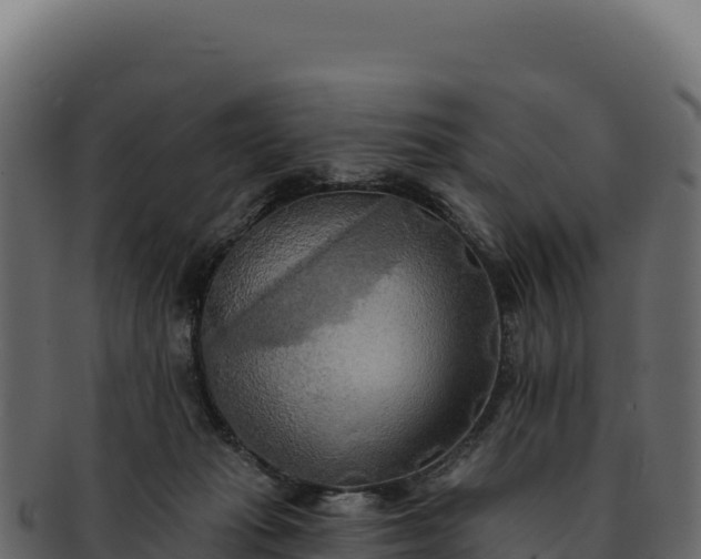 X0000092300269200710041453