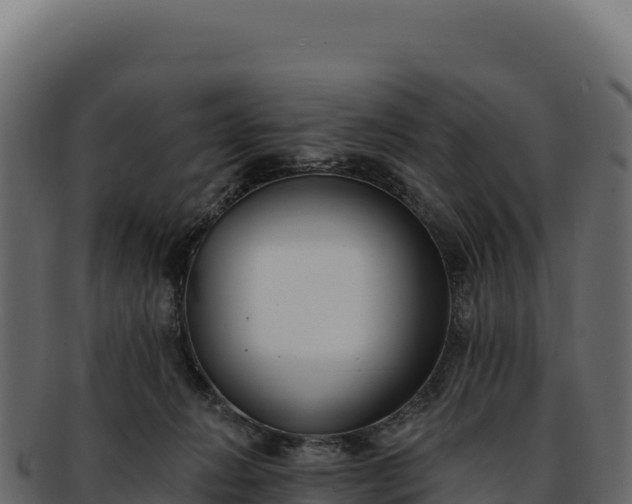 X0000092300270200710041453