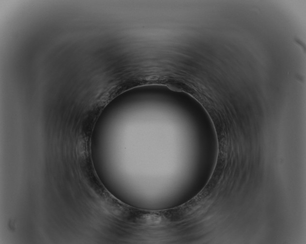 X0000092300272200710041453